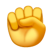 Raised Fist on Samsung