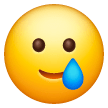 Smiling Face With Tear Emoji on Samsung Phones