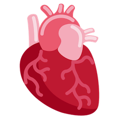 🫀 Herz (Organ) Emoji auf Twitter