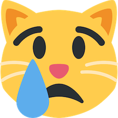 Crying Cat on Twitter