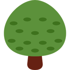 🌳 Deciduous Tree Emoji on Twitter