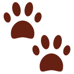 Paw Prints on Twitter