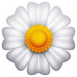 🌼 Blume Emoji auf WhatsApp