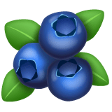 Blueberries Emoji on WhatsApp