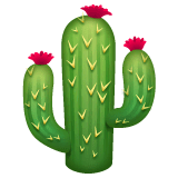 Cactus Émoji WhatsApp