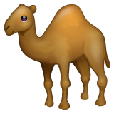 Camel Emoji on WhatsApp