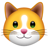 Cat Face Emoji on WhatsApp