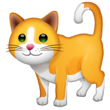🐈 Cat Emoji on WhatsApp