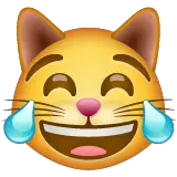 Cara de gato con lágrimas de alegría on WhatsApp