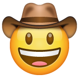 Cowboygesicht on WhatsApp