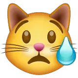 Плачущая кошачья мордочка Эмодзи в WhatsApp