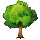 🌳 Drzewo Emoji Na Whatsapp