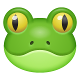 Frog on WhatsApp