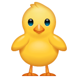 🐥 Front-Facing Baby Chick Emoji on WhatsApp
