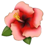 Hibiscus on WhatsApp