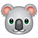 🐨 Cara de coala Emoji nos WhatsApp