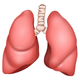 Lungs Emoji on WhatsApp