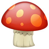 🍄 Mushroom Emoji on WhatsApp