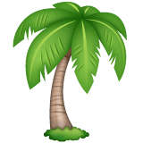 Palm Tree on WhatsApp