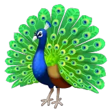 Peacock on WhatsApp