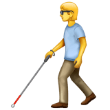 Person With White Cane on WhatsApp