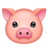 🐷 Tête de cochon Émoji sur WhatsApp