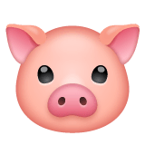 Pig Face on WhatsApp