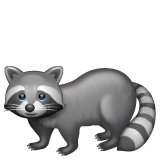 🦝 Raccoon Emoji on WhatsApp