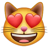 Cara de gato sonriente con los ojos en forma de corazon on WhatsApp