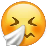 Sneezing Face Emoji on WhatsApp