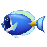 Tropical Fish Emoji on WhatsApp