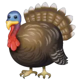 🦃 Turkey Emoji on WhatsApp