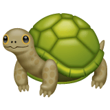 🐢 Turtle Emoji on WhatsApp