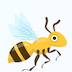 🐝 Bee Skype