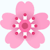 🌸 Fleur de cerisier Skype