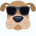 Cool dog Skype