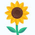 🌻 Sonnenblume Skype