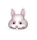 🐰 Cara de conejo Animoji