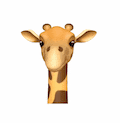 🦒 Girafa Animoji