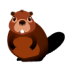 beaver